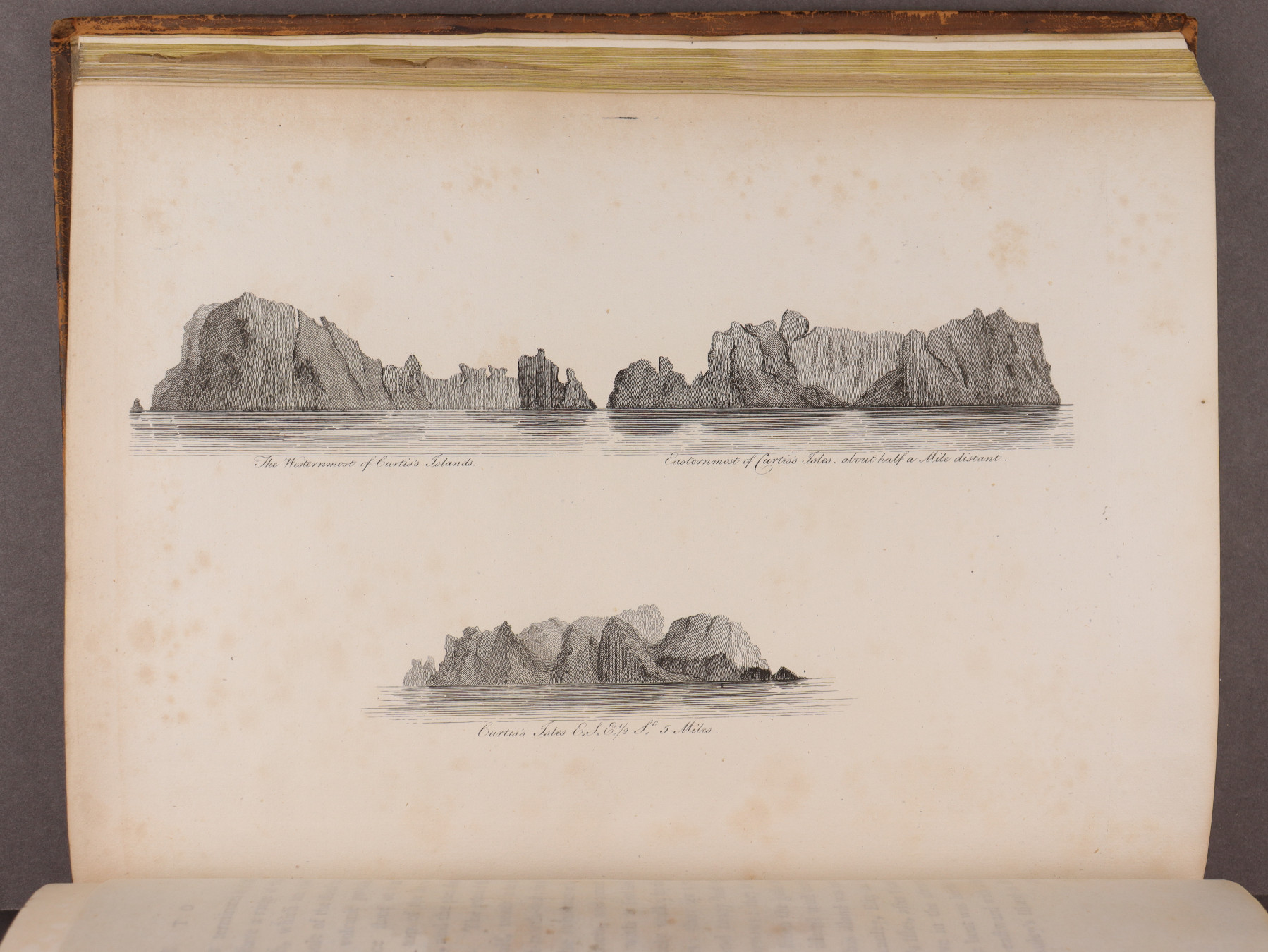 Plate 36